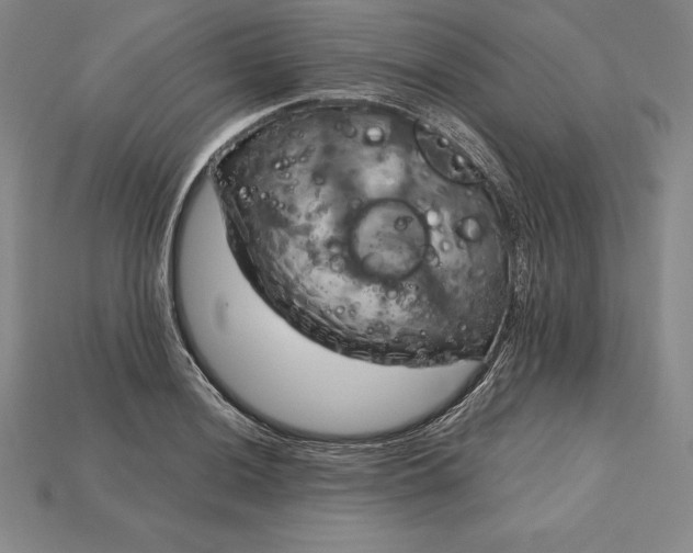 X0000115201036200911121838