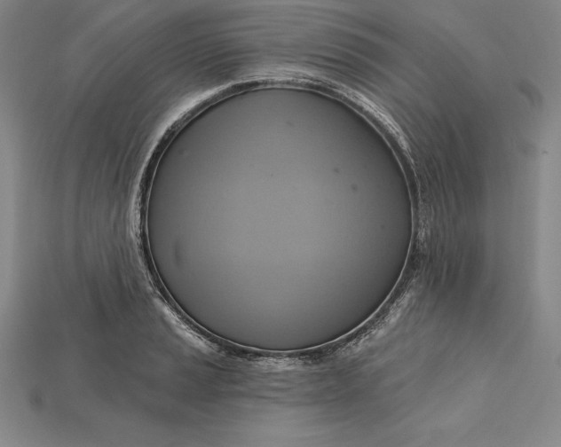 X0000115201037200911121838