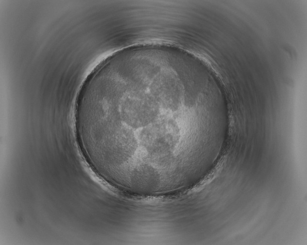 X0000115201038200911121838