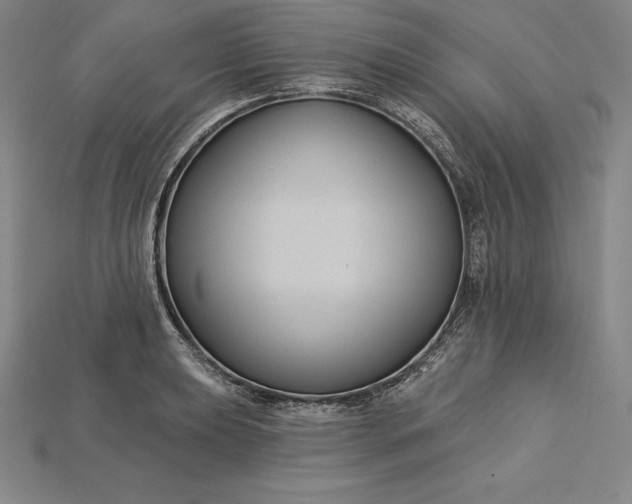 X0000115201039200911121838