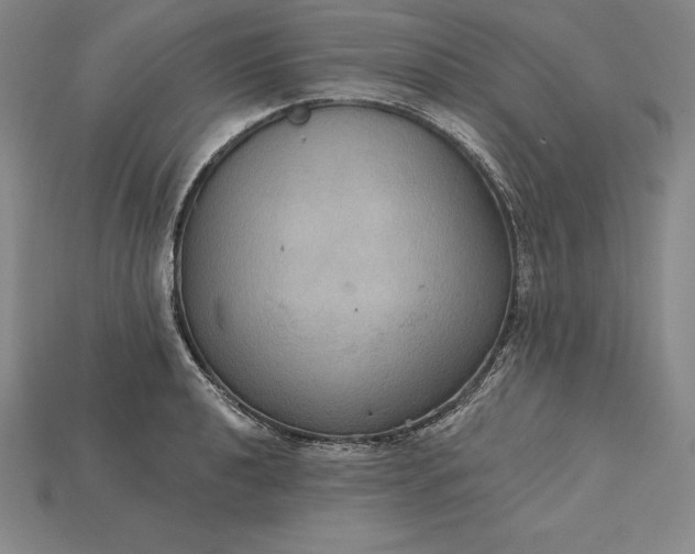 X0000115201040200911121838