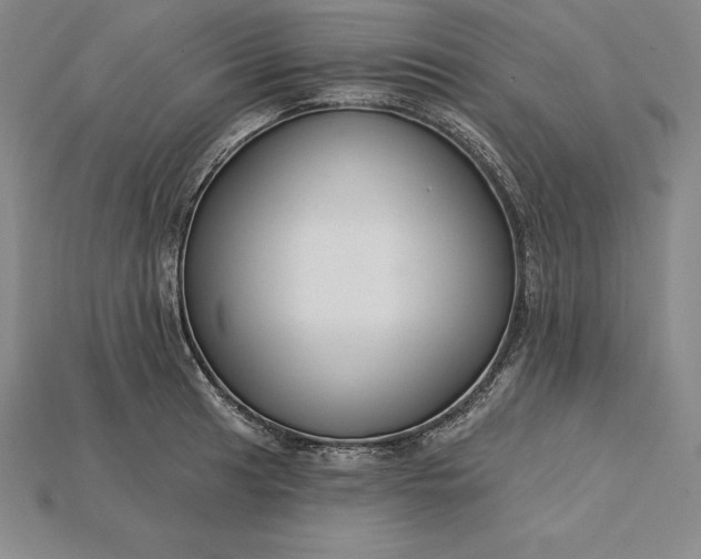 X0000115201041200911121838