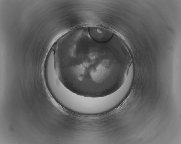 X0000115201042200911121838