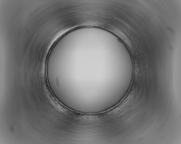X0000115201044200911121838