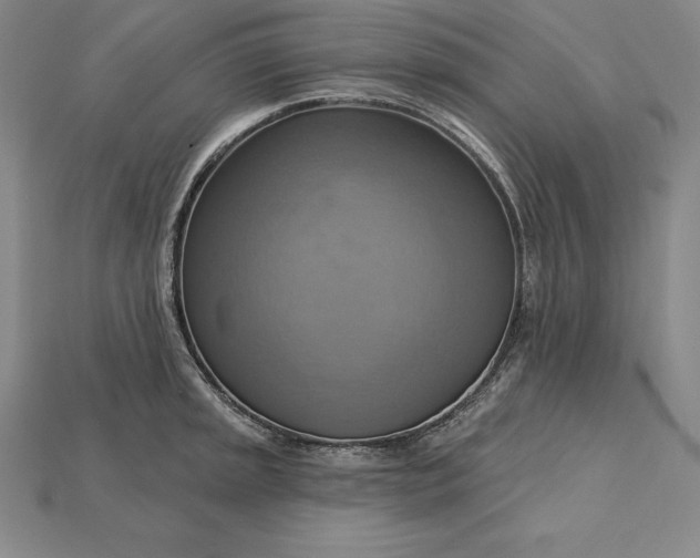 X0000115201045200911121838