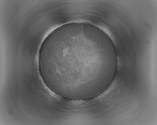 X0000115201046200911121838
