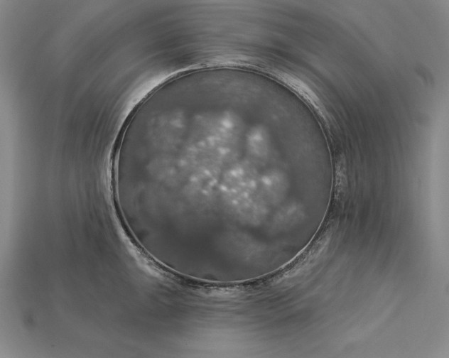 X0000115201047200911121838