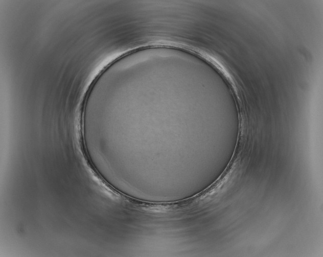 X0000115201048200911121838