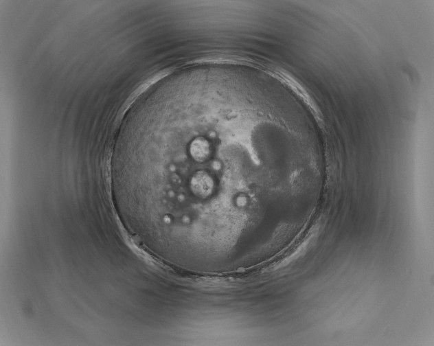 X0000115201049200911121838