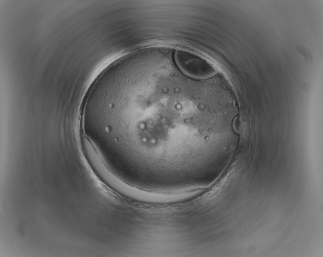 X0000115201050200911121838