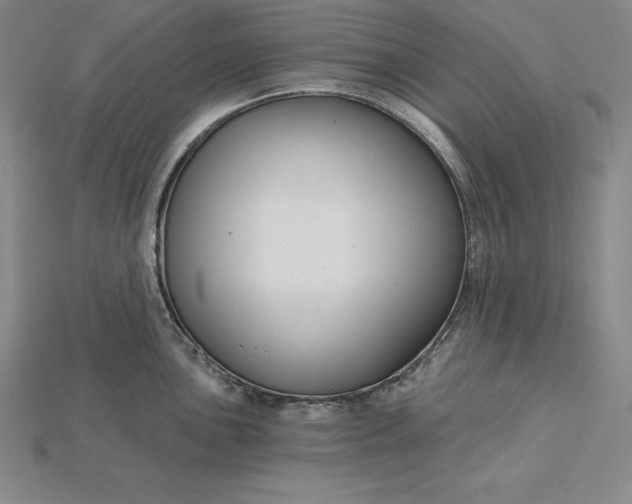 X0000115201051200911121838