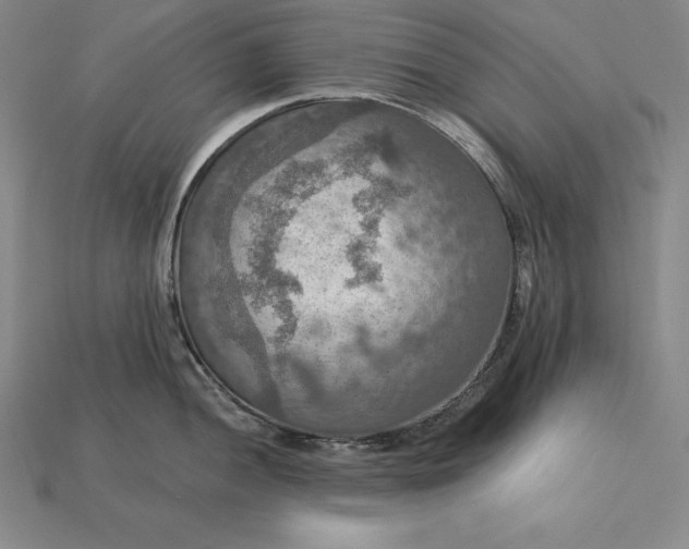 X0000115201052200911121838