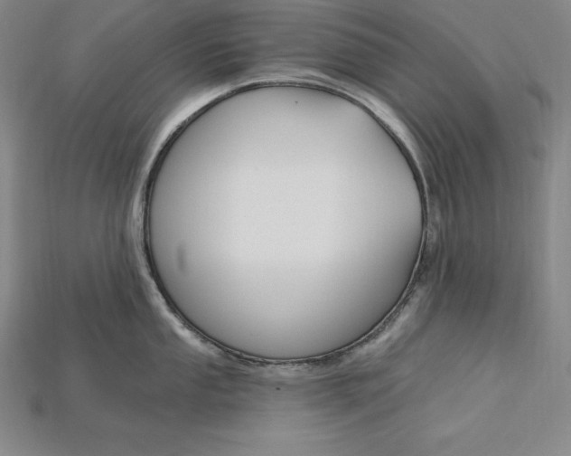 X0000115201053200911121838