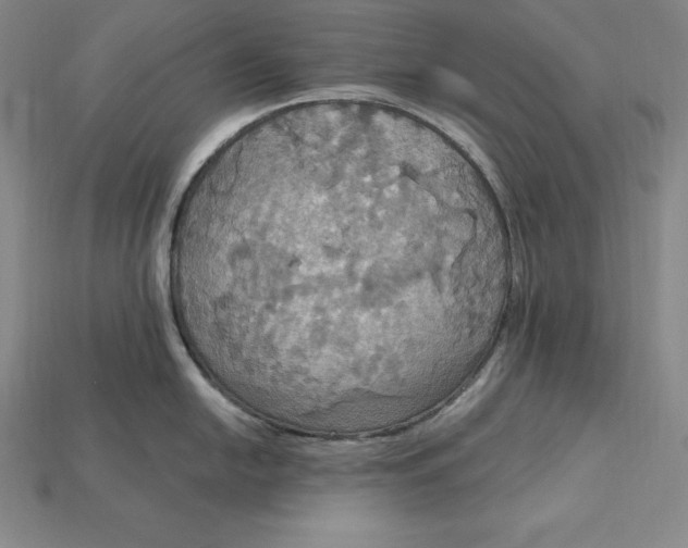 X0000115201054200911121838