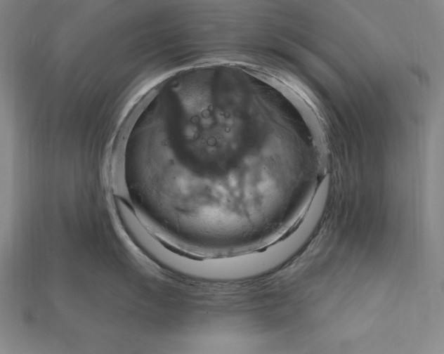 X0000115201055200911121838