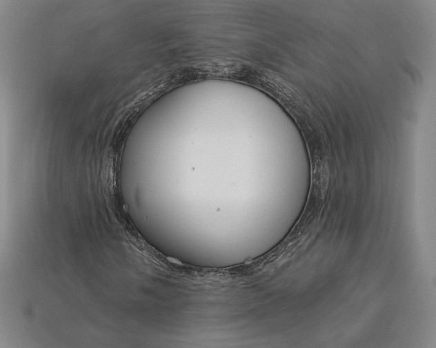 X0000115201058200911121837