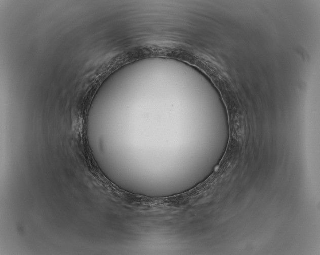 X0000115201061200911121837
