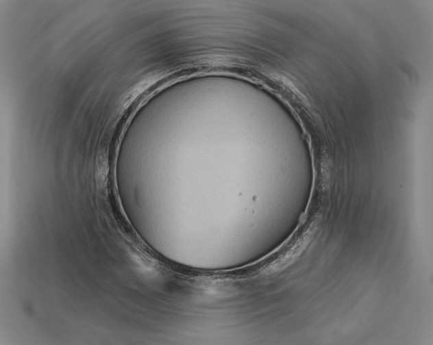 X0000115201065200911121837