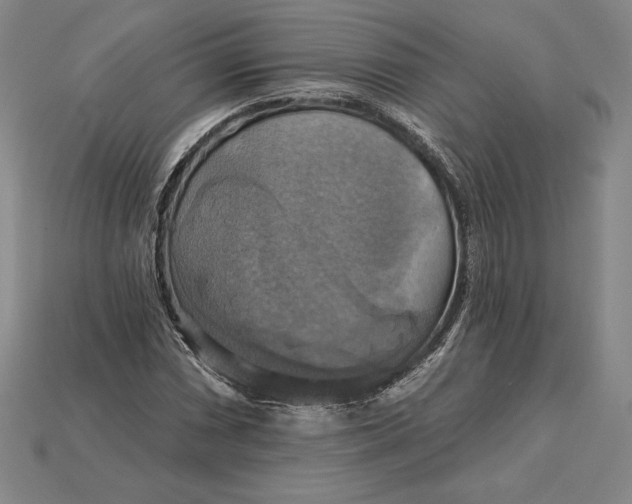 X0000115201066200911121837