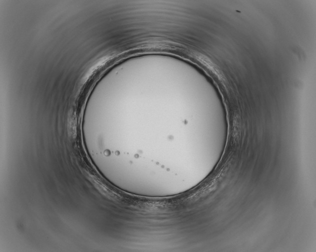 X0000115201067200911121837