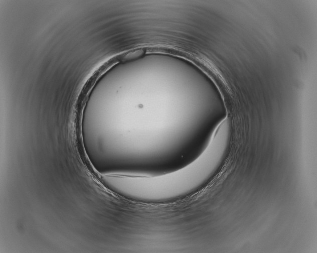 X0000115201068200911121837