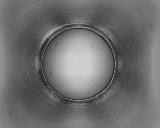 X0000115201069200911121837