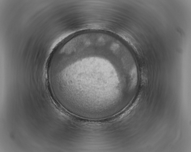 X0000115201070200911121837