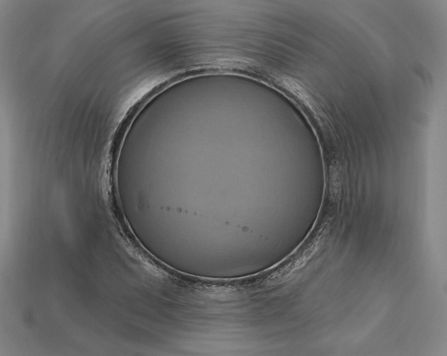 X0000115201071200911121837