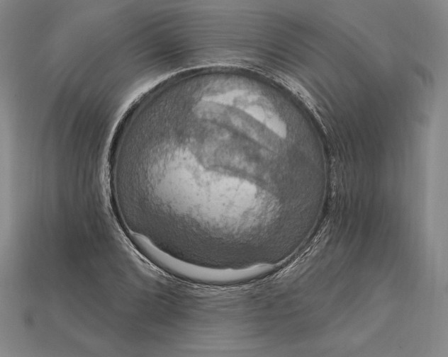 X0000115201072200911121837