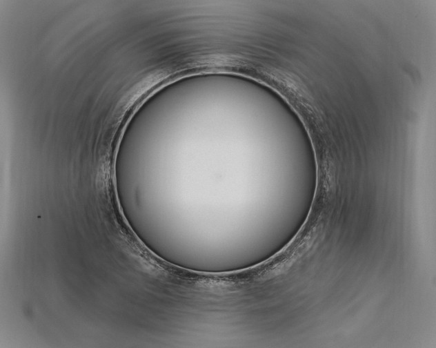 X0000115201073200911121837