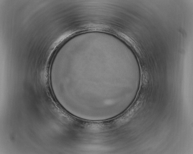X0000115201074200911121837