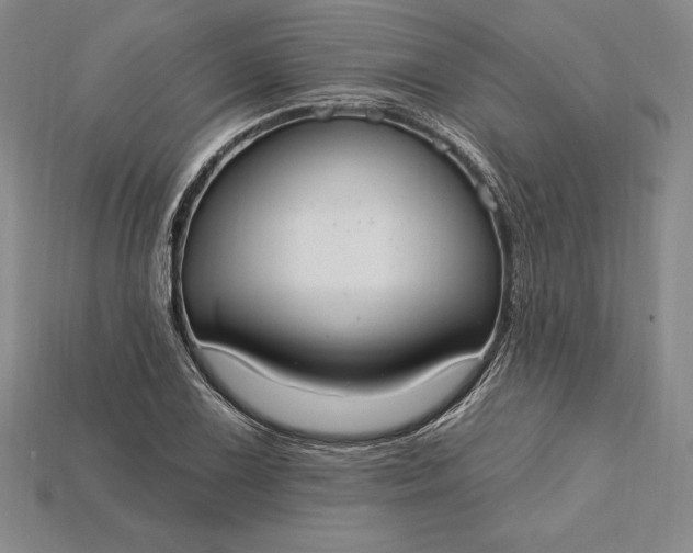 X0000115201075200911121837