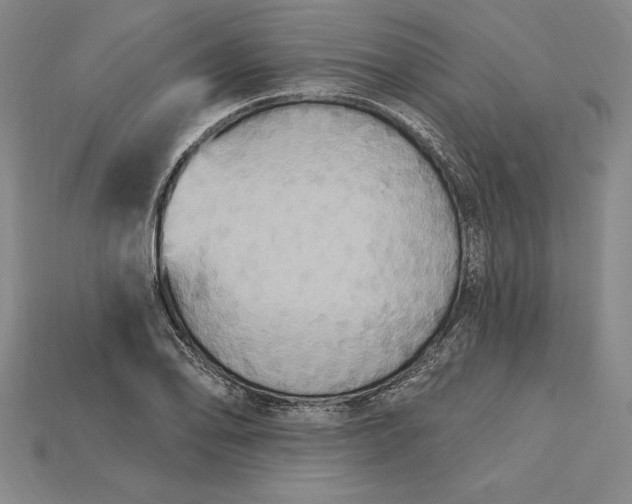 X0000115201078200911121837