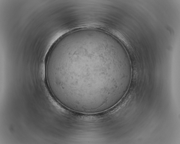 X0000115201079200911121837