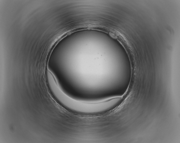 X0000115201081200911121837