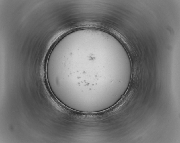 X0000115201082200911121837