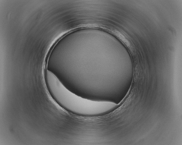 X0000115201084200911121837