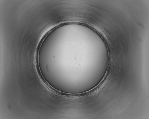 X0000115201085200911121837