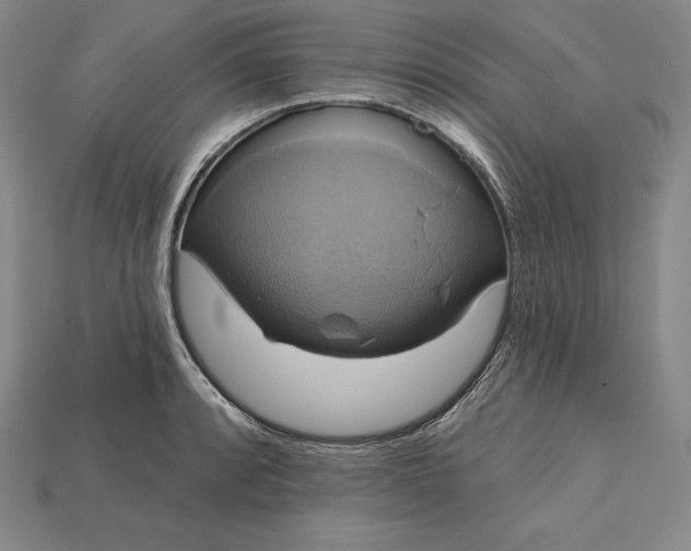 X0000115201088200911121837