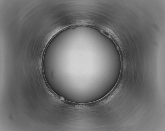 X0000115201089200911121837