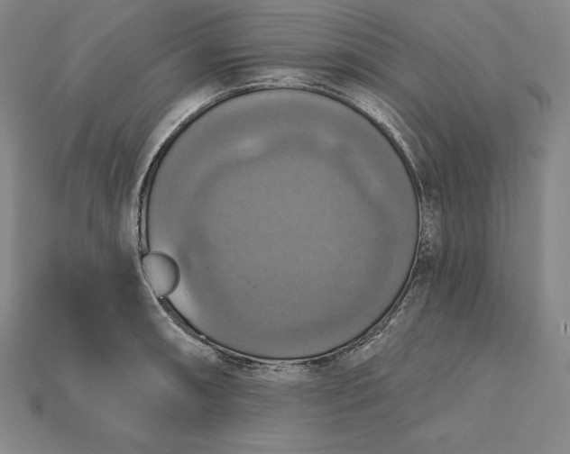 X0000115201090200911121837