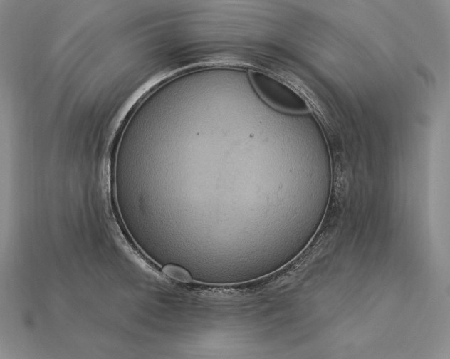 X0000115201092200911121837