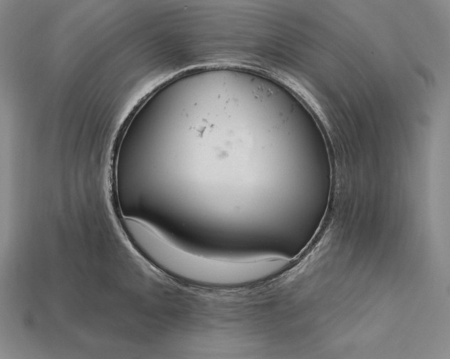 X0000115201093200911121837