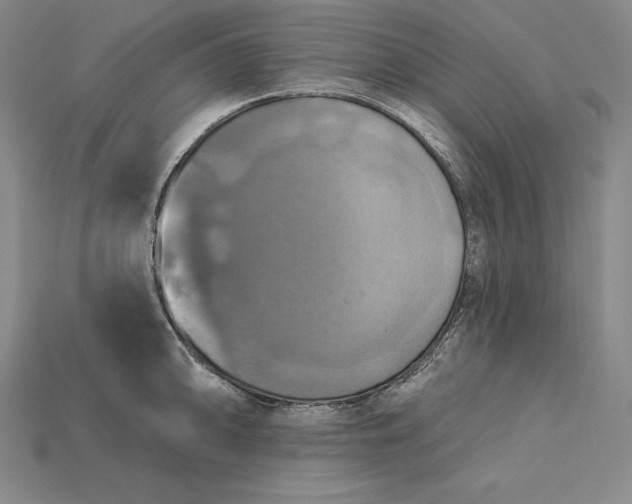 X0000115201094200911121837