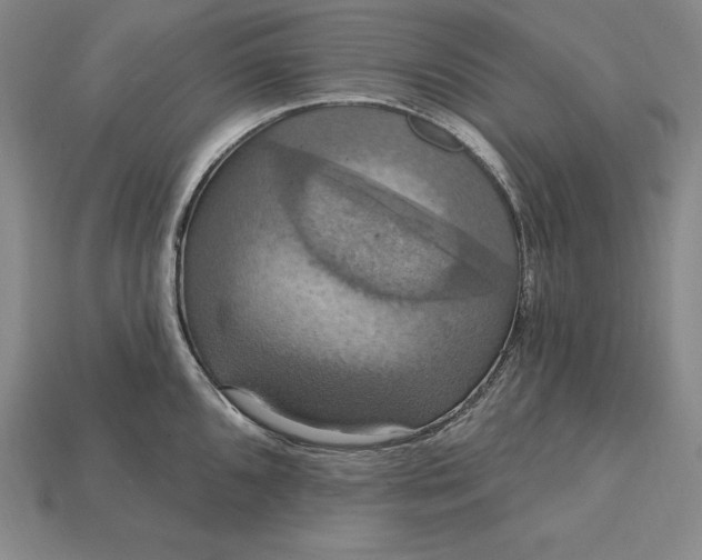 X0000115201096200911121837