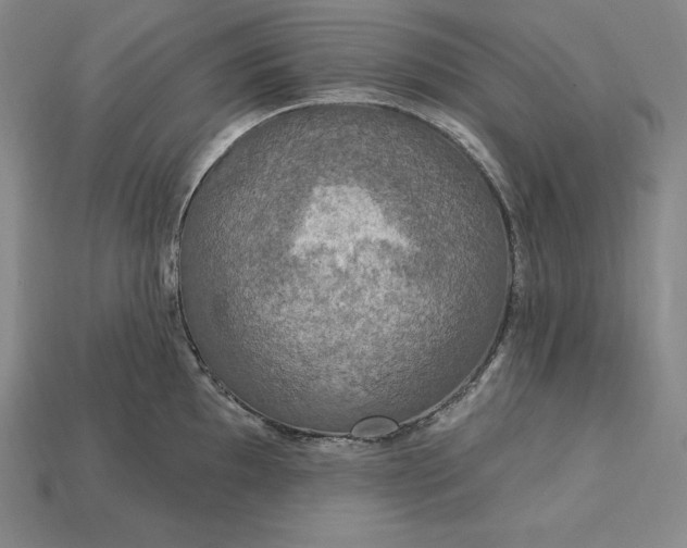X0000115201097200911121837