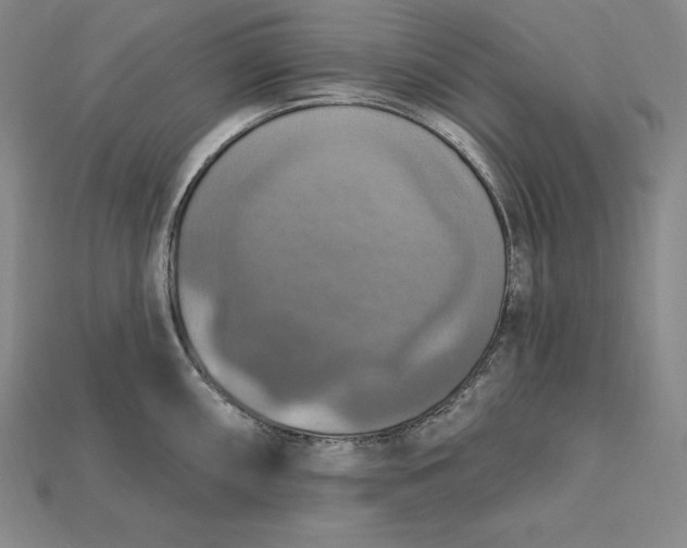X0000115201098200911121837