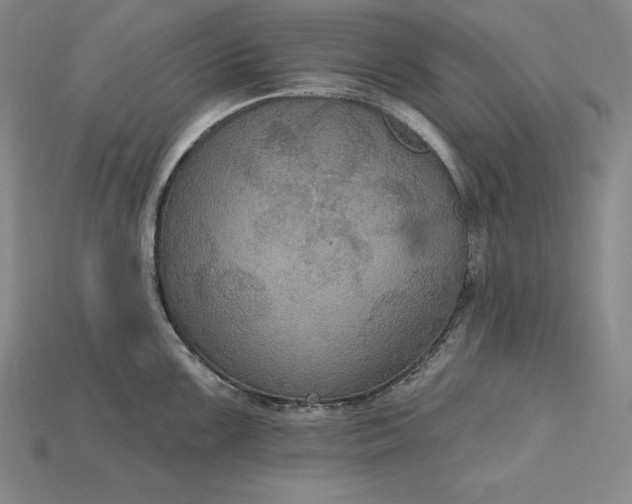 X0000115201099200911121837