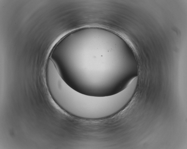 X0000115201100200911121837