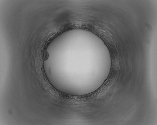 X0000115201105200911121836